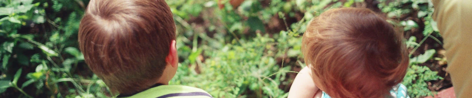 The Penthouse: War in Life - Drama Wiki - Fue Goals Statements Start Cast Choice Penthouse Ageing